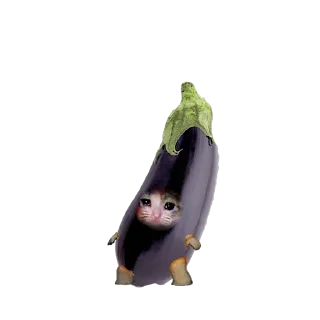 🍆