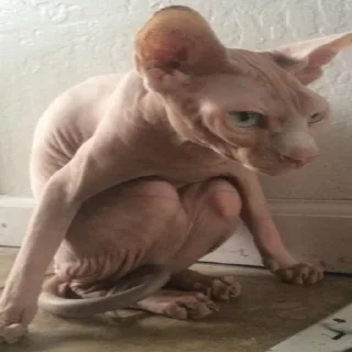 🧐