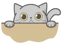Cat Fullmoon
