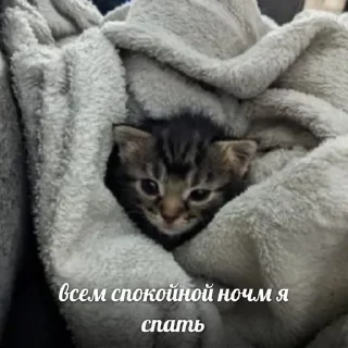 🇺🇦