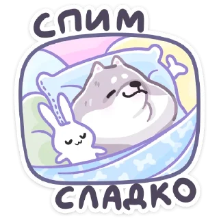 😴
