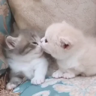 😘