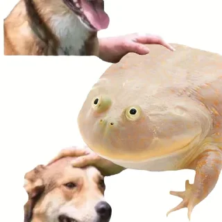 🐸