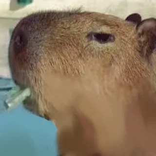 🚬