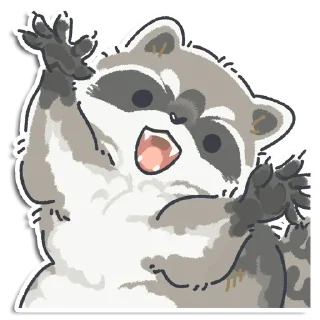 🦝
