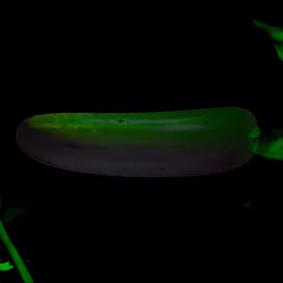 🤩