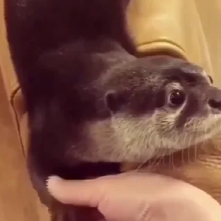 🤝