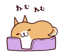🐶