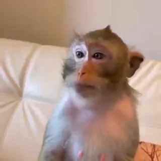 👀