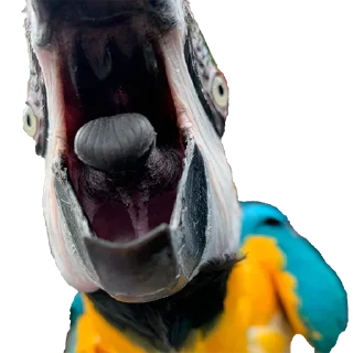 😱