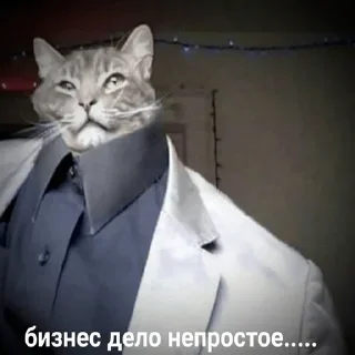 😏