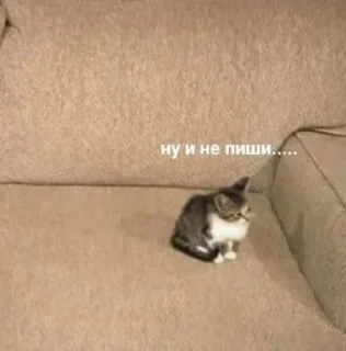 🙄