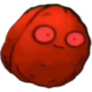 🌰