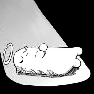 🍖