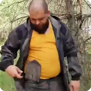 🌟