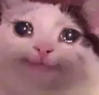 😭