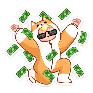 💰