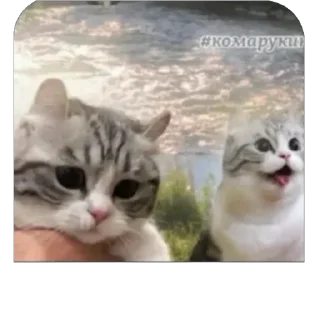 🫥
