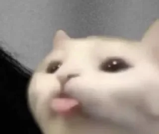😋
