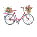🚲