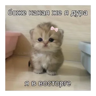 🥰