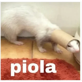 🤝