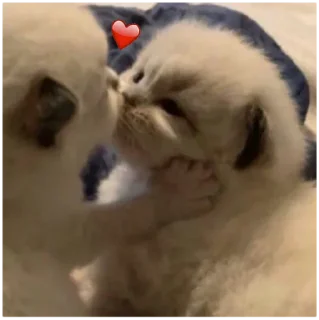 💒