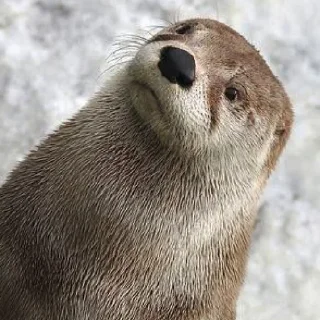 😕