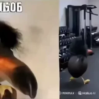 💪