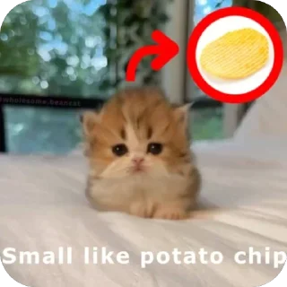 🥰