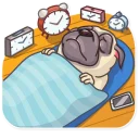 😴