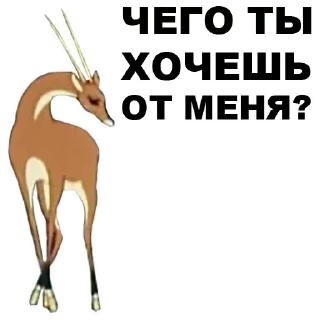 🙄