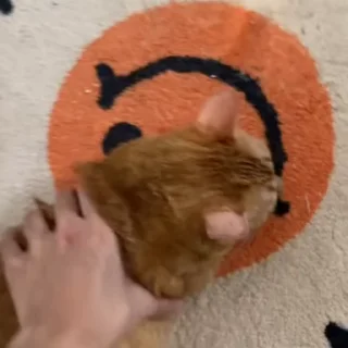 😩