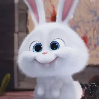 🐰