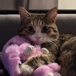 🥺