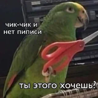 ✂️