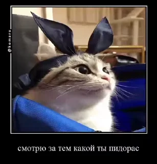 ☠
