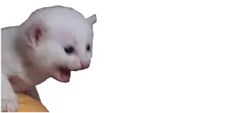 😱