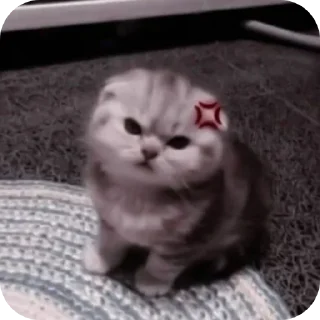 👍