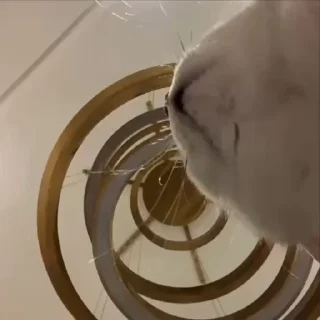 🥺
