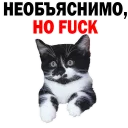 🙈