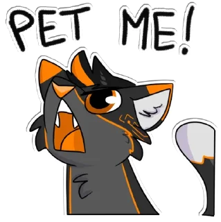 🐱