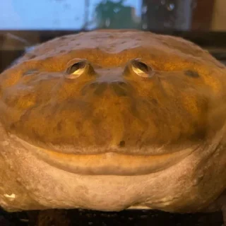 🙃