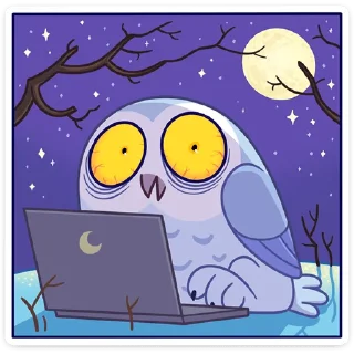 🌃