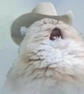 🤠