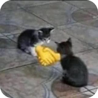 🤝