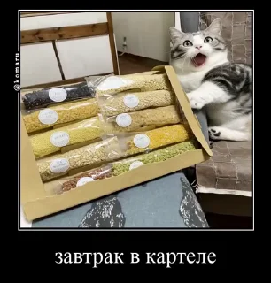 🤩