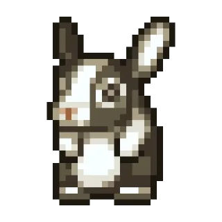 🐰