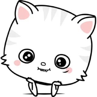 котенок туфио❤️🥺🐱