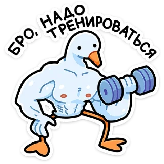 💪